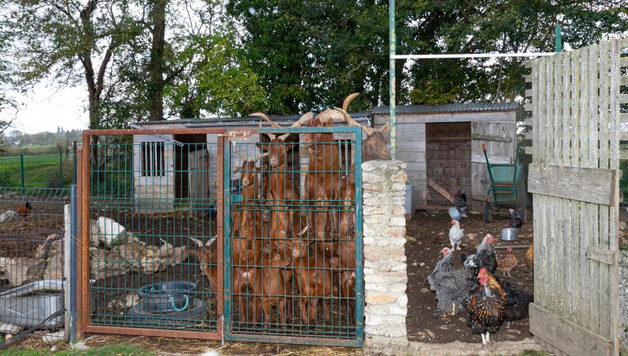 Apartment La Ferme Des Nonains Montjavoult